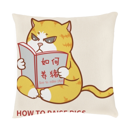 抱枕
