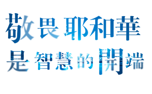 T恤