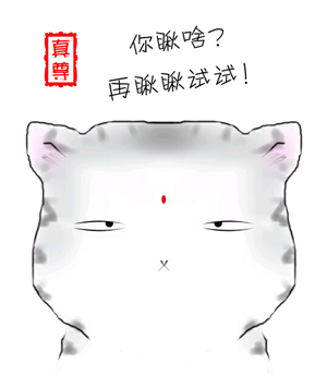 T恤