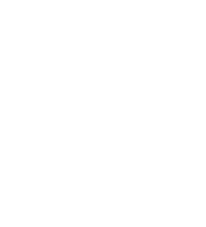 T恤