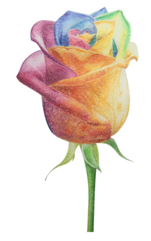 T恤