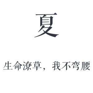 T恤