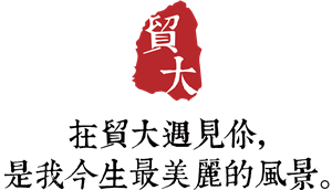 T恤