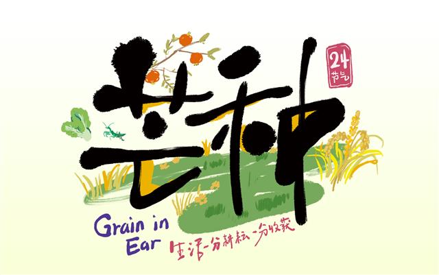 明信片正面预览