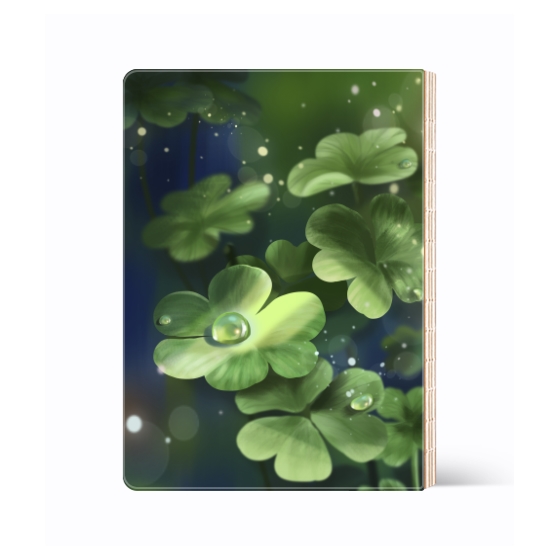 光照雨露下的四叶草