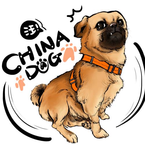 中华田园犬卡通图案图片